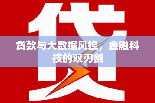 墨江贷款与大数据风控，金融科技的双刃剑