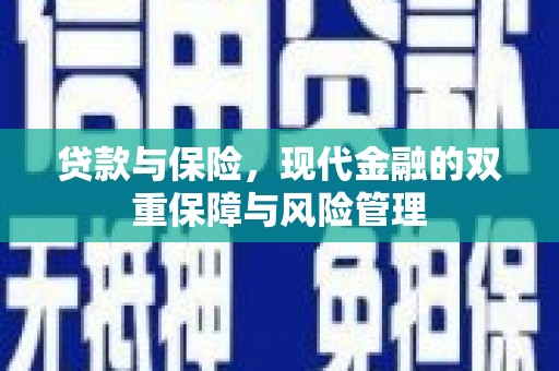 墨江贷款与保险，现代金融的双重保障与风险管理