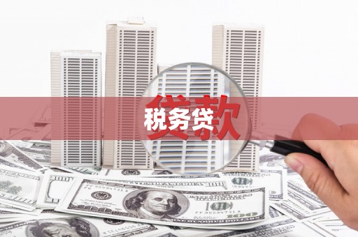 墨江税务贷