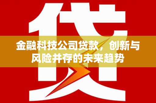 墨江金融科技公司贷款，创新与风险并存的未来趋势