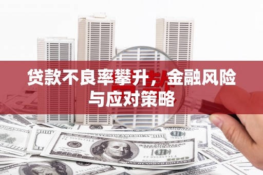 墨江贷款不良率攀升，金融风险与应对策略