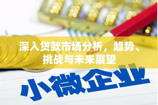 墨江深入贷款市场分析，趋势、挑战与未来展望