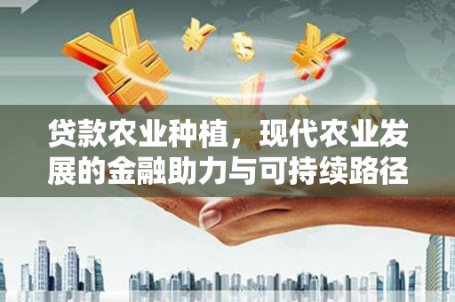 墨江贷款农业种植，现代农业发展的金融助力与可持续路径