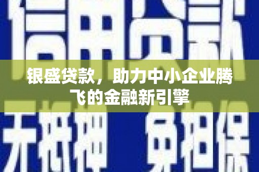 墨江银盛贷款，助力中小企业腾飞的金融新引擎