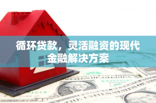 墨江循环贷款，灵活融资的现代金融解决方案