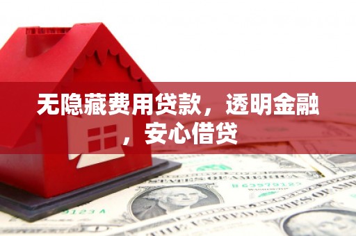 墨江无隐藏费用贷款，透明金融，安心借贷