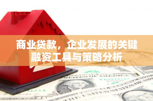 墨江商业贷款，企业发展的关键融资工具与策略分析