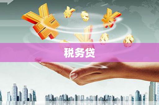 墨江税务贷