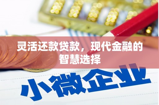 墨江灵活还款贷款，现代金融的智慧选择