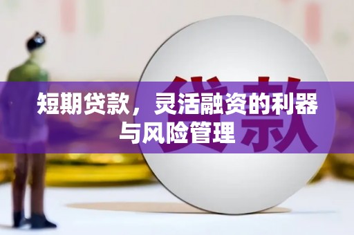 墨江短期贷款，灵活融资的利器与风险管理