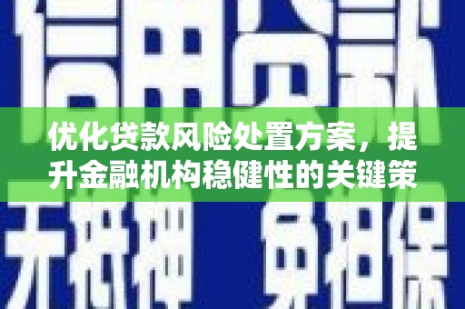 墨江优化贷款风险处置方案，提升金融机构稳健性的关键策略