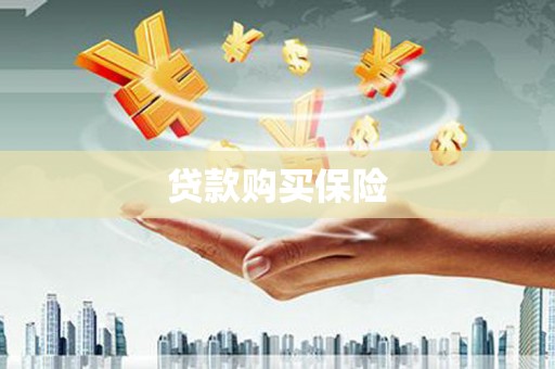 墨江贷款购买保险