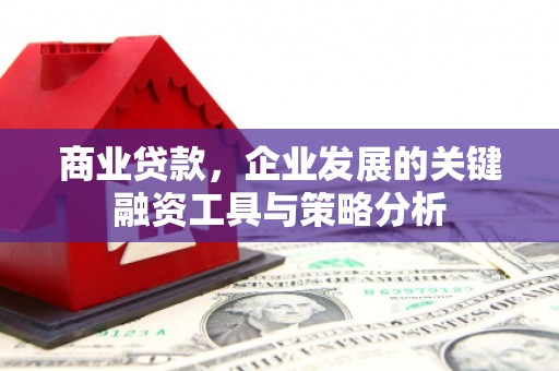 墨江商业贷款，企业发展的关键融资工具与策略分析