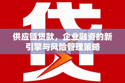墨江供应链贷款，企业融资的新引擎与风险管理策略