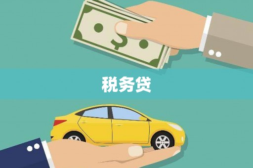 墨江税务贷
