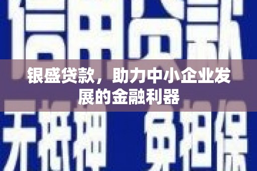 墨江银盛贷款，助力中小企业发展的金融利器