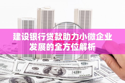 墨江建设银行贷款助力小微企业发展的全方位解析