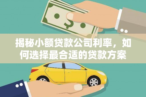 墨江揭秘小额贷款公司利率，如何选择最合适的贷款方案