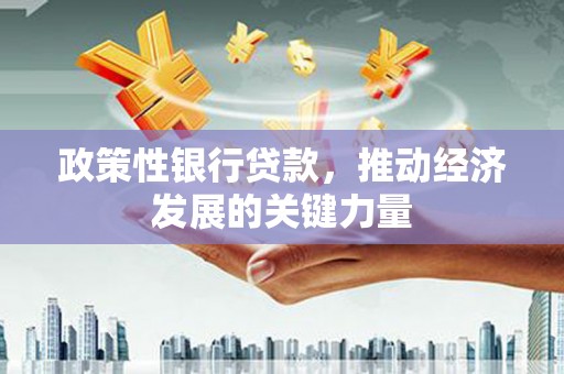 墨江政策性银行贷款，推动经济发展的关键力量