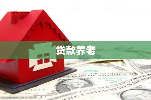 墨江贷款养老