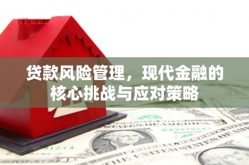 墨江贷款风险管理，现代金融的核心挑战与应对策略