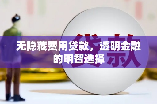 墨江无隐藏费用贷款，透明金融的明智选择