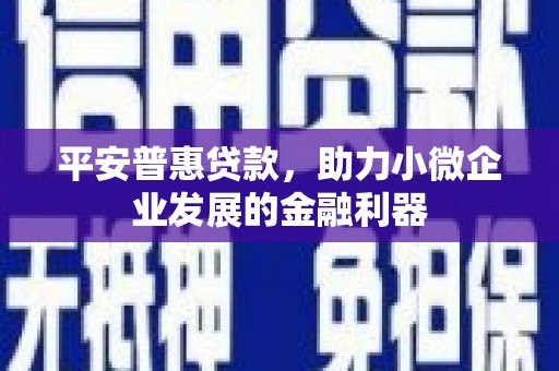 墨江平安普惠贷款，助力小微企业发展的金融利器