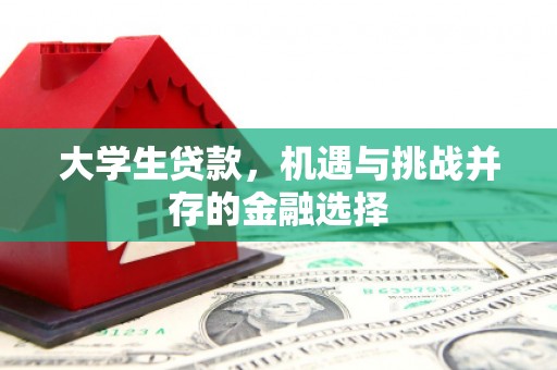 墨江大学生贷款，机遇与挑战并存的金融选择