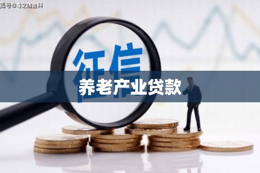墨江养老产业贷款