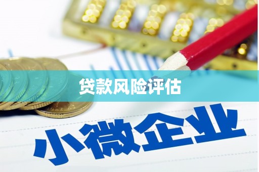 墨江贷款风险评估