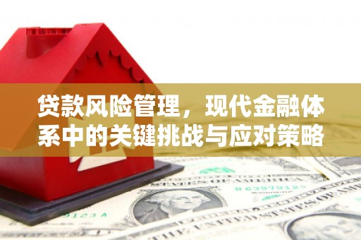 墨江贷款风险管理，现代金融体系中的关键挑战与应对策略
