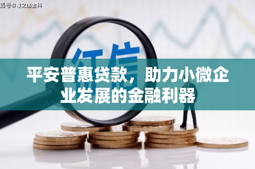 墨江平安普惠贷款，助力小微企业发展的金融利器