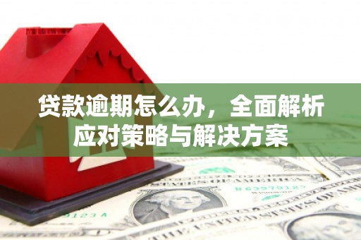 墨江贷款逾期怎么办，全面解析应对策略与解决方案