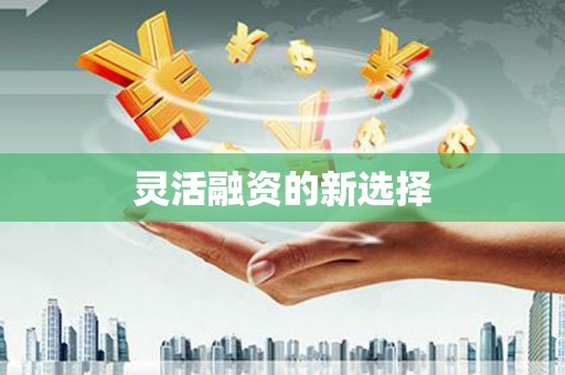 墨江灵活融资的新选择