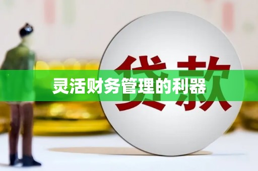 墨江灵活财务管理的利器