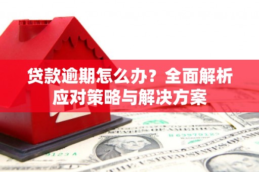墨江贷款逾期怎么办？全面解析应对策略与解决方案