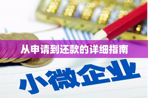 墨江从申请到还款的详细指南