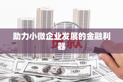 墨江助力小微企业发展的金融利器
