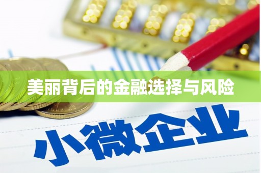 墨江美丽背后的金融选择与风险