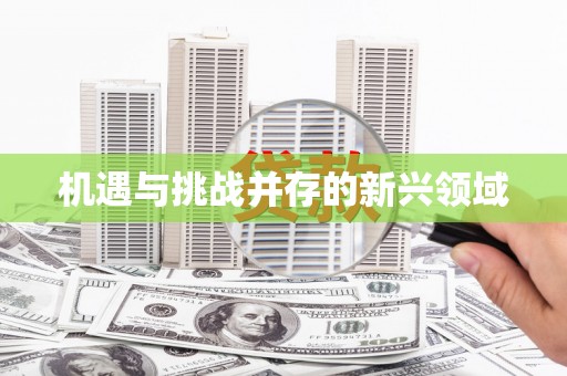 墨江机遇与挑战并存的新兴领域