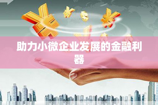 墨江助力小微企业发展的金融利器