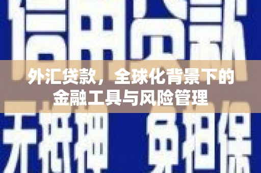 墨江外汇贷款，全球化背景下的金融工具与风险管理